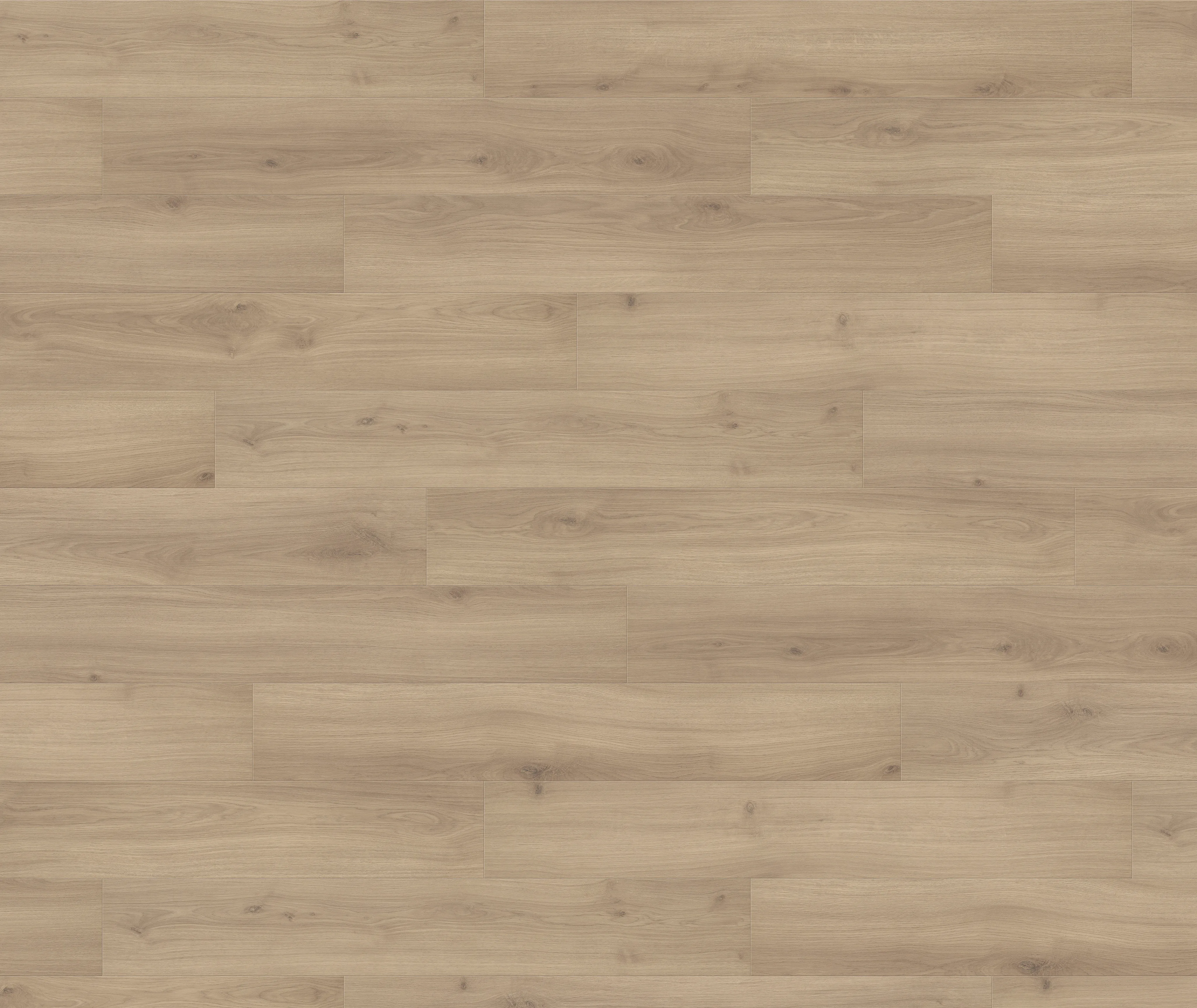 HARO Laminat Tritty 200 Aqua Eiche Emilia puro Landhausdiele (10030020859)