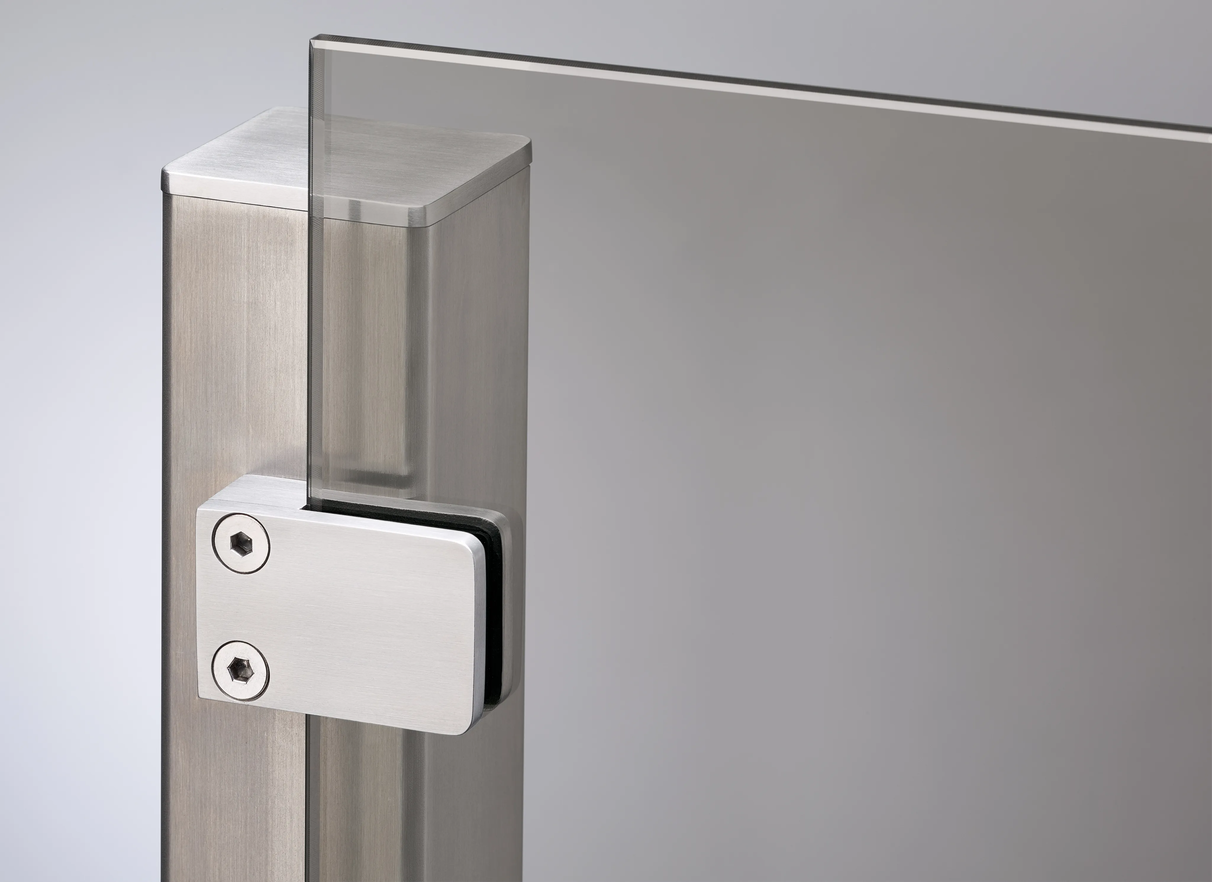 HORI Glaszaun Glassichtschutz Glasfarbe Grau (10030017259)