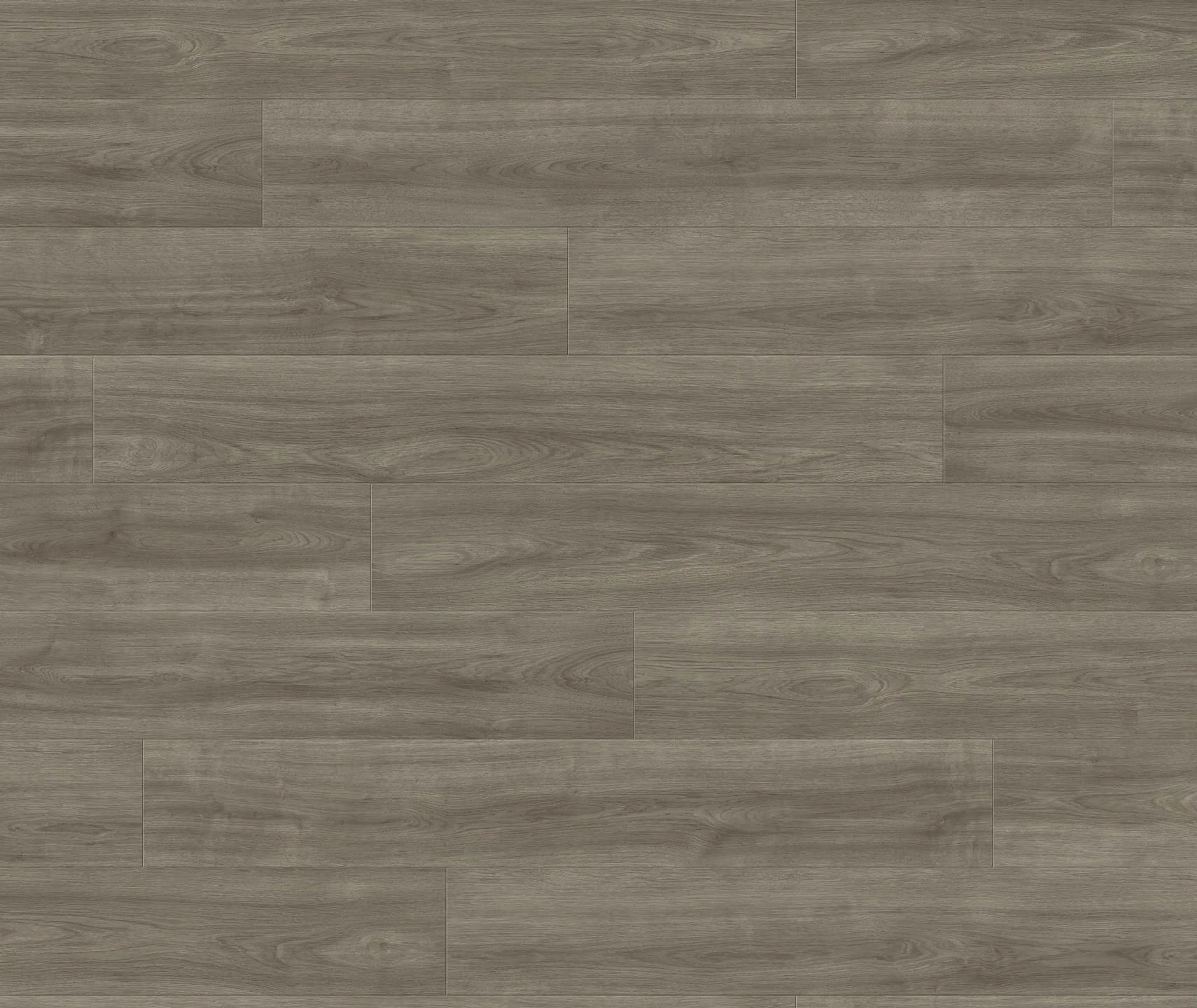 HARO Laminat Tritty 100 Eiche Eleganza antikgrau Landhausdiele (10030071013)