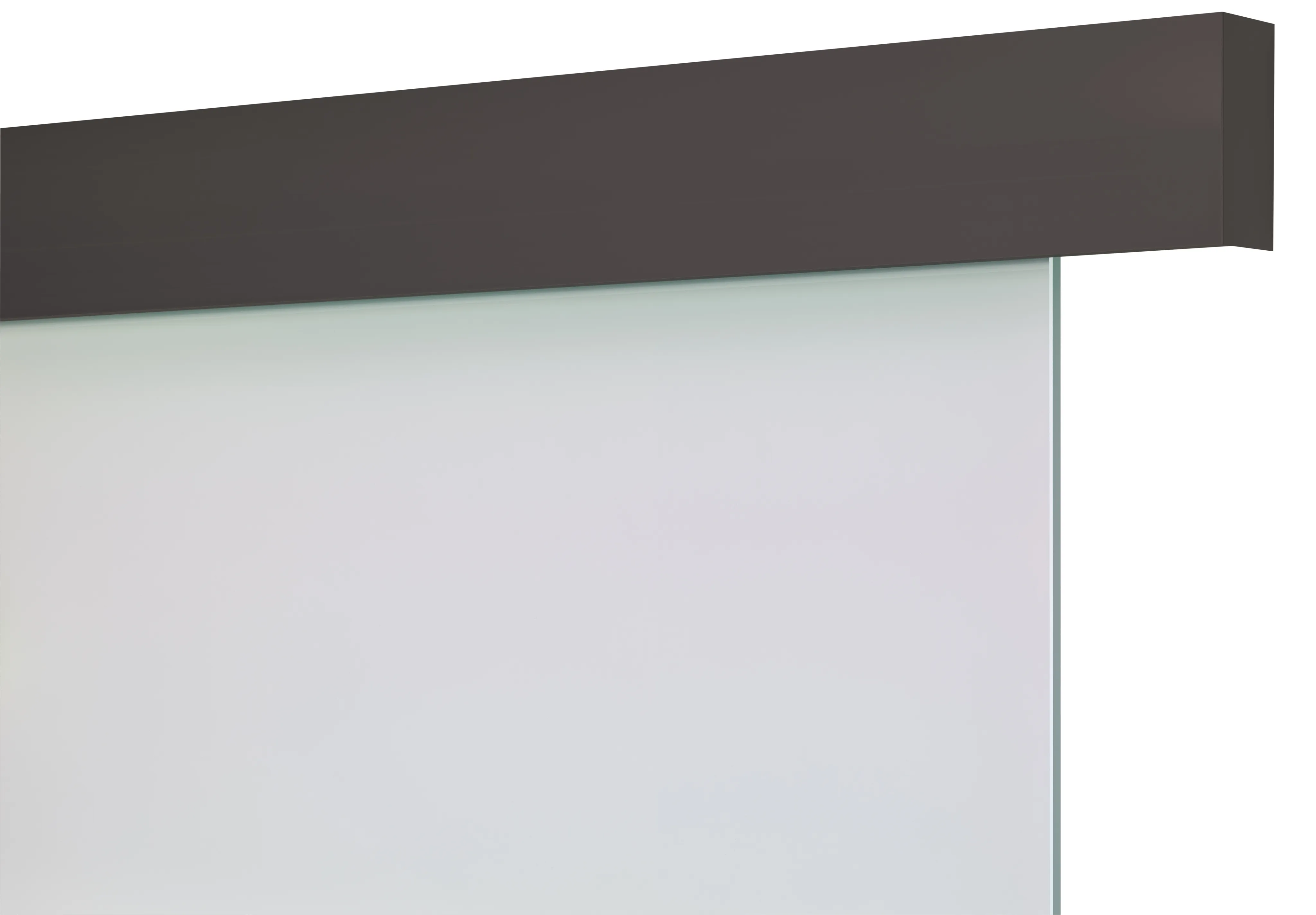 HORI Exclusiv Schiebetürsystem für Glastür matt schwarz (10040325493)