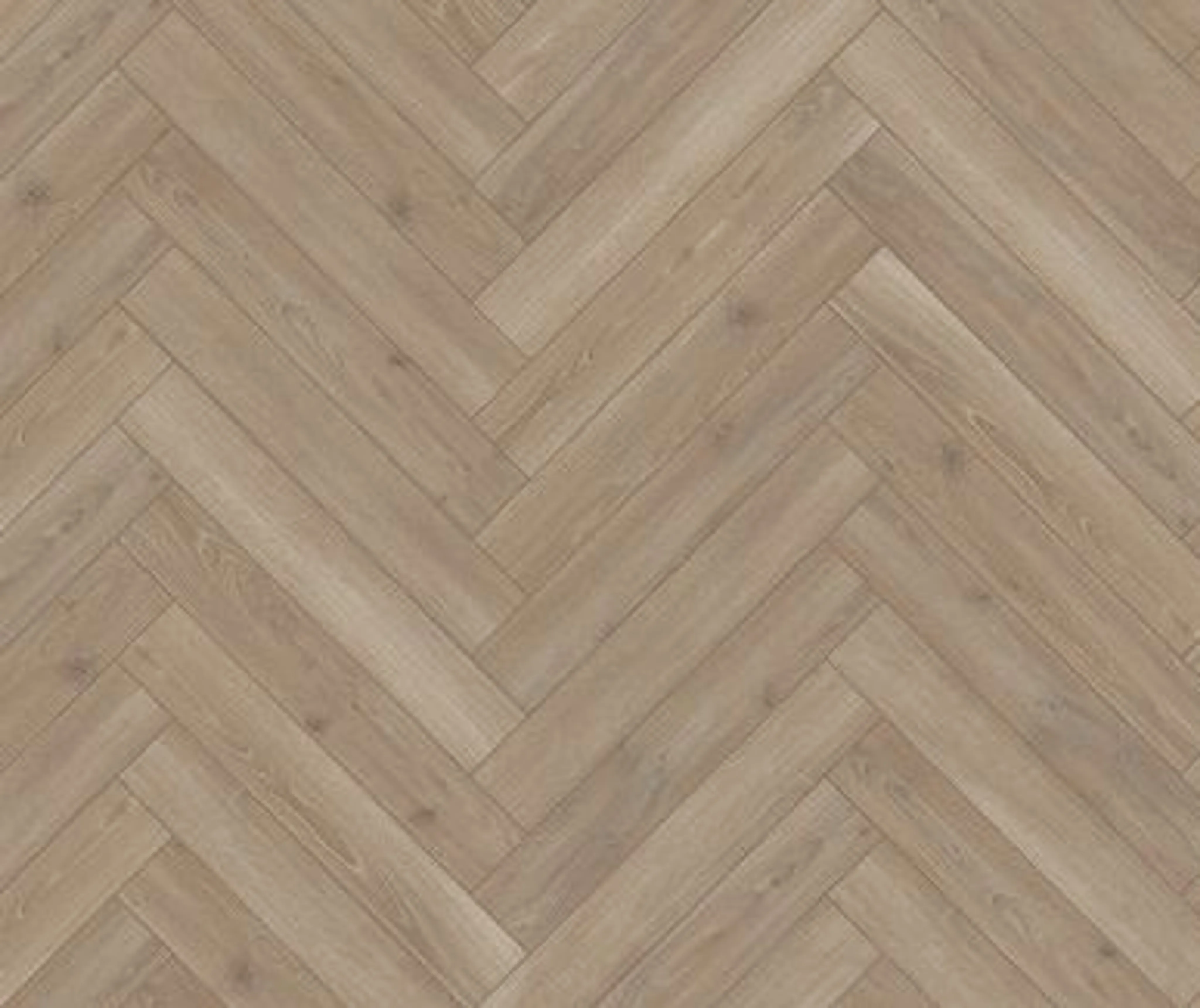 PARADOR Laminat Trendtime 3 Eiche Skyline perlgrau Naturmattstruktur (10040027800)
