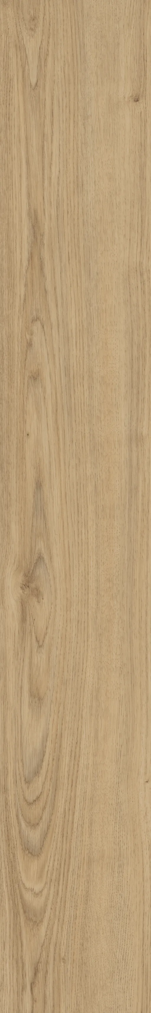 AMORIM WISE Korkparkett Wood inspire 700 SRT Royal Oak Landhausdiele