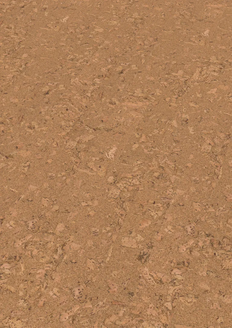AMORIM  WISE Korkparkett Cork inspire 700 HRT Originals Shell Landhausdiele 2