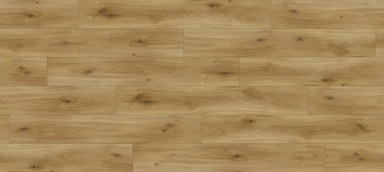 PARADOR Laminat Basic 400 Eiche horizont natur seidenmatte struktur Landhausdiele 2
