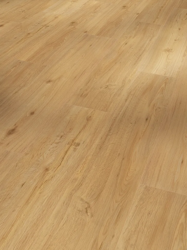 PARADOR Klick-Vinylboden SPC Basic 5.3 Eiche Natur gebürstete Struktur Landhausdiele 5