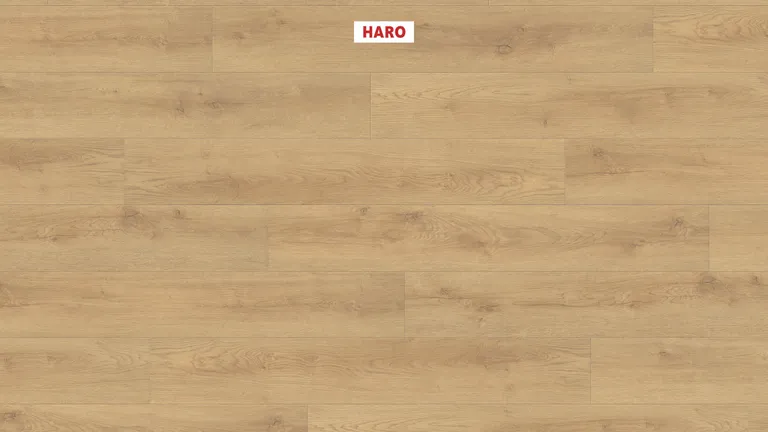 HARO Laminat Sonderedition NKL31 Eiche Scarpa natur strukturiert matt Landhausdiele 1