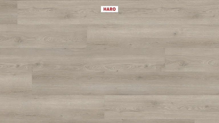 HARO Laminat Tritty 100 Gran Via Eiche Flavia grau authentic 1