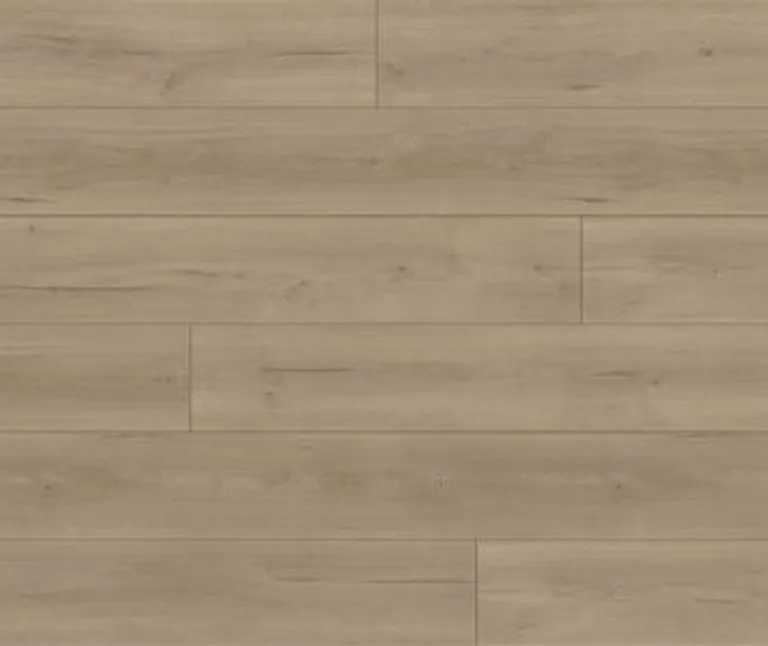 PARADOR Laminat Trendtime 6 Eiche Loft Grau Lebhafte struktur 0