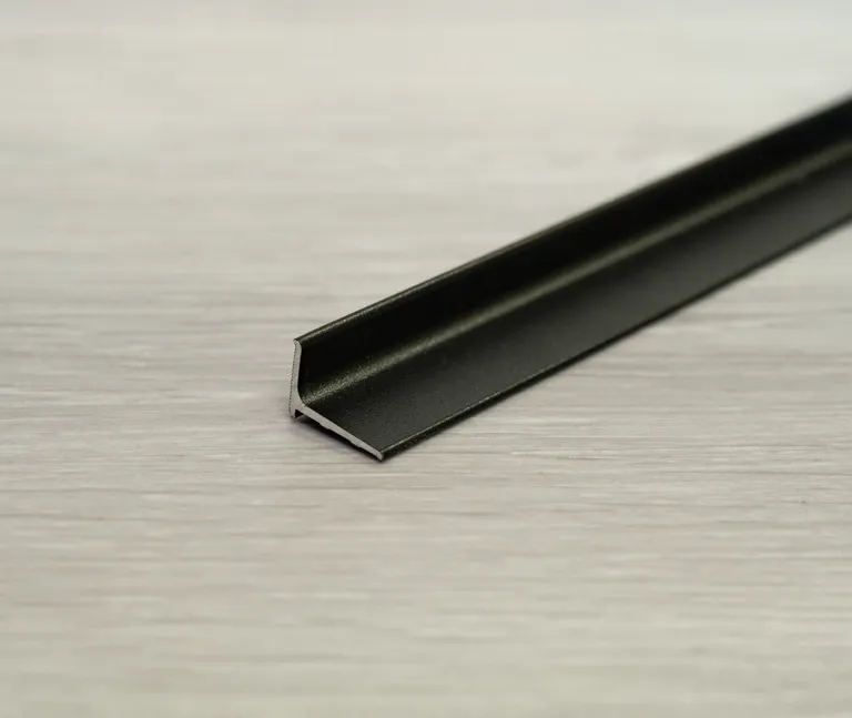 Proline Abschlussprofil PROFACE Aluminium 0