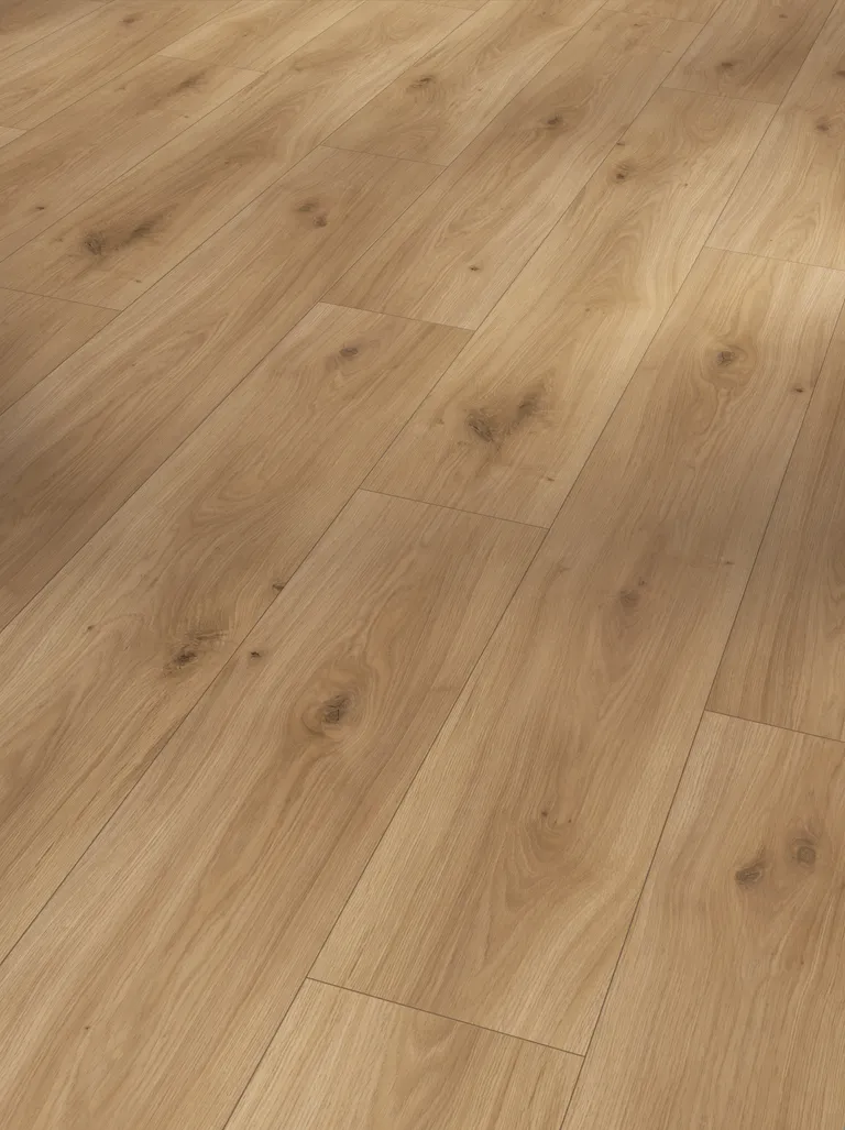 PARADOR Laminat Basic 200 Eiche horizont natur seidenmatte struktur Landhausdiele 1