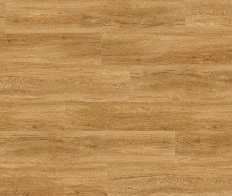 PARADOR Klick-Vinylboden SPC Basic 5.3 Eiche Sierra Natur gebürstete Struktur Landhausdiele 2