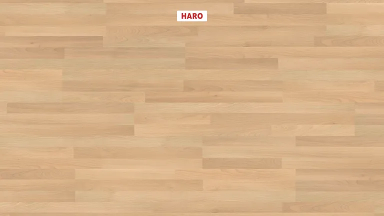 HARO Laminat Sonderedition NKL31 Buche strukturiert matt 1