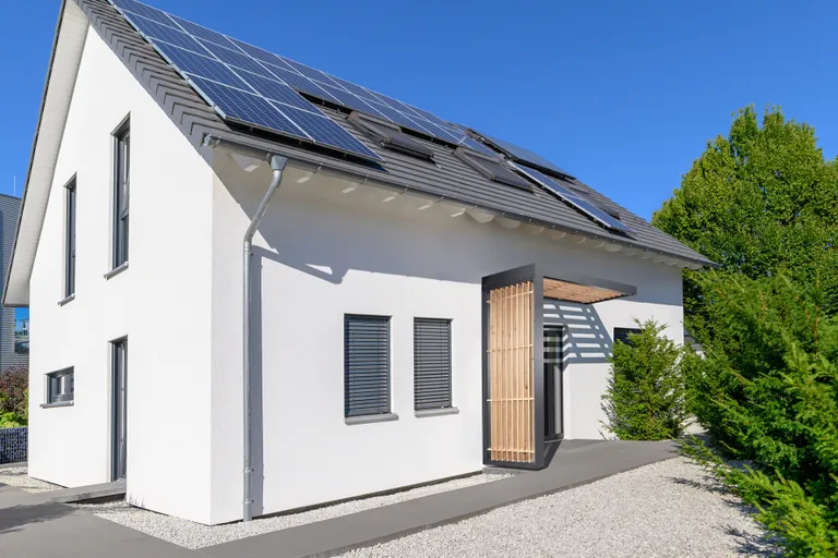Gutta Vordach Haustür BS Timber DB 703 FS 4