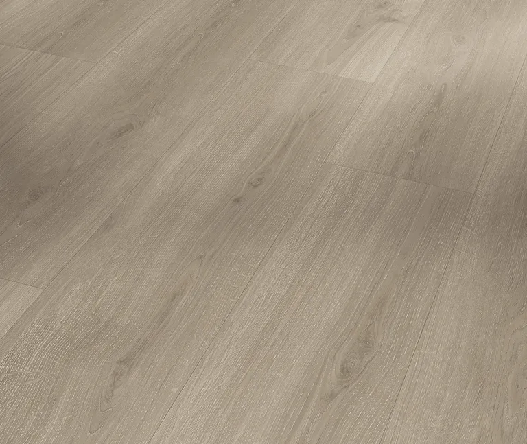 PARADOR Klick-Vinylboden SPC Basic 5.3 Eiche Regent grau Eleganzstruktur Landhausdiele 4