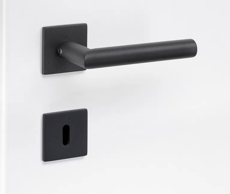 HORI Türgriff L-Form Roma Edelstahl schwarz Flachrosetten 0
