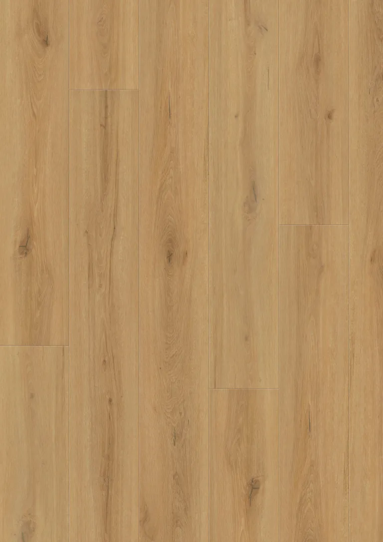 tilo Klick-Vinylboden ELITO TREND Eiche Natur Holzoptik softsynchron Landhausdiele 2