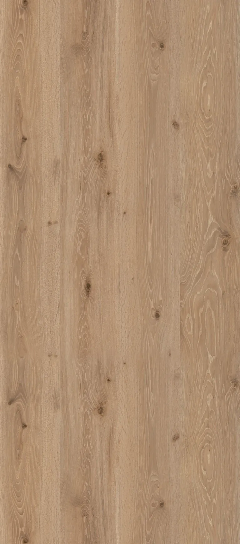 PARADOR Laminat Trendtime 6 Eiche Castell gekälkt Landhausdiele 1