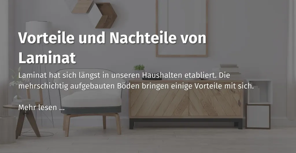 Hier kommst du zu unseren Ratgeber Beitrag über Vor und Nachteile über Laminat