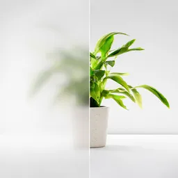 satinierte-verglasung-fuer-lichtausschnitte