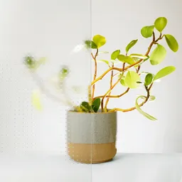 mastercarre-verglasung-fuer-lichtausschnitte