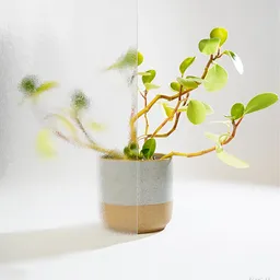 chinhcilla-verglasung-fuer-lichtausschniitte