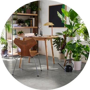 Hier ist ein Ambiente Bild eines hell grauen Laminatbodens in Beton Optik zu sehen.