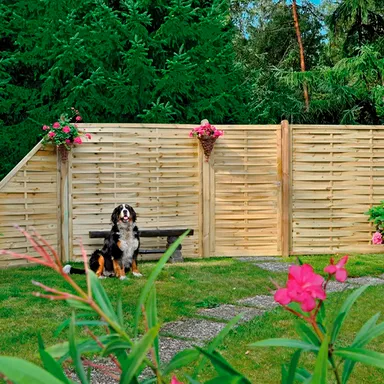 Garten mit Hund und Holz Sichtschutzzaun im Hintergrund