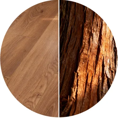 Hier ist ein Bild eines dunklen Laminatbodens. Auf der einen Hälfte sieht man den Boden, auf der anderen die Holzoptik eines Baumes 