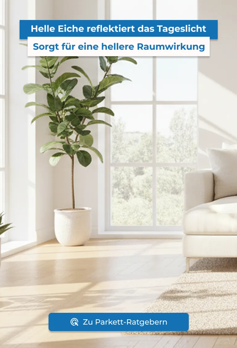 Eiche Parkett hell D