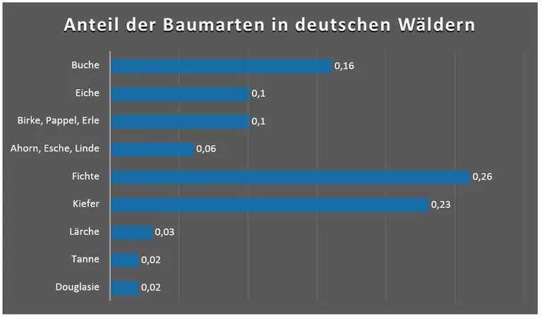 Baumarten_in_deutschen_Wäldern.jpg