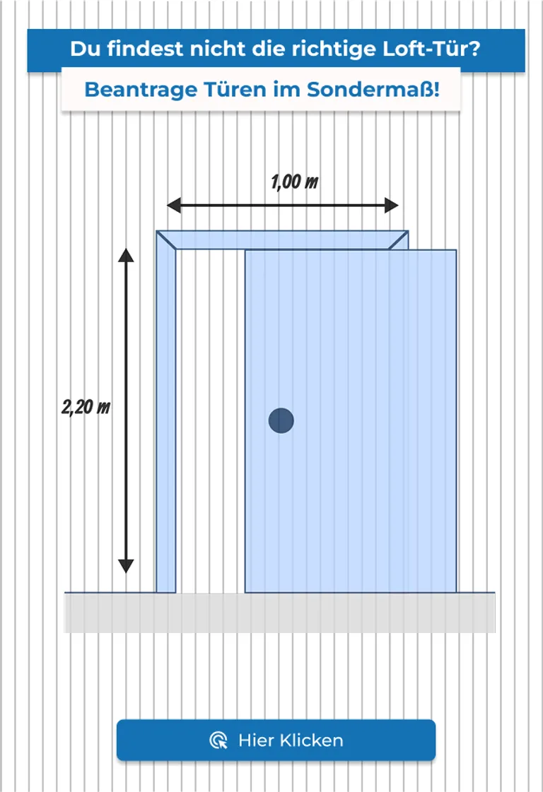 Loft-Schiebetüren D