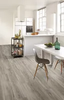 PARADOR Klick-Vinylboden SPC Basic 5.3 Eiche pastellgrau gebürstete Struktur Landhausdiele 1