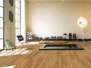 PARADOR Klick-Vinylboden SPC Basic 5.3 Eiche Sierra Natur gebürstete Struktur Landhausdiele 1
