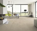 ter Hürne Klick-Parkett Hywood EVO Esche Abisko OF O714G Landhausdiele 3