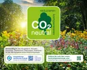 Ecostar Gerätehaus Trend 8