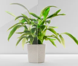 HORI Verglasung für Lichtausschnitt Estella 4 Tür Klarglas 0