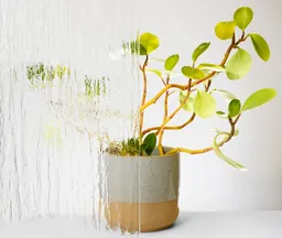 Licht & Harmonie Verglasung für Lichtausschnitt Silvit weiß 0