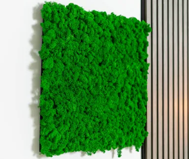 HORI Wandverkleidung Moss Deep Green 0