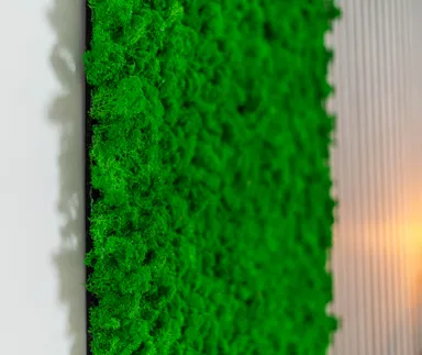 HORI Wandverkleidung Moss Deep Green 2