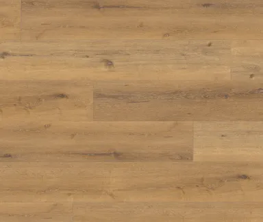 Tilo Klick-Vinylboden GRANDO Eiche Schwentine Holzoptik softsynchron Landhausdiele 0