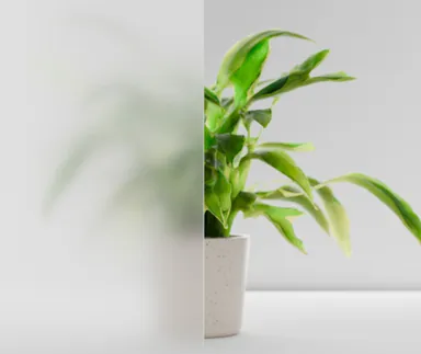 HORI Verglasung für Lichtausschnitt Estella 4 Tür satiniert weiß 0