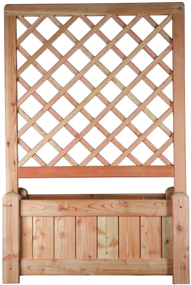 TETZNER & JENTZSCH Rankgitter Stockholm Lärche 1