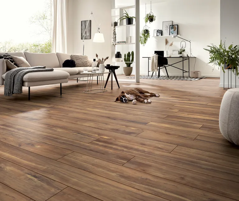 KRONOTEX Laminat Amazone Aqua D 80102 Carisma Landhausdiele 3