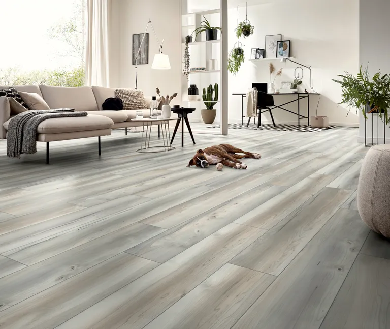 KRONOTEX Laminat Exquisit D 50162 Villosa Grey Landhausdiele 3