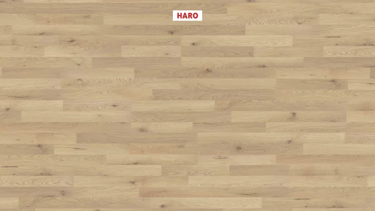 HARO Laminat Sonderedition NKL31 Steineiche strukturiert matt 0