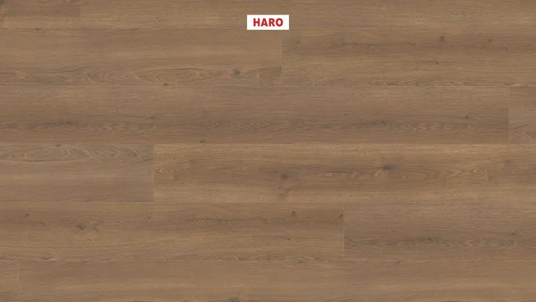 HARO Laminat Tritty 100 Gran Via Eiche Flavia geräuchert authentic 1