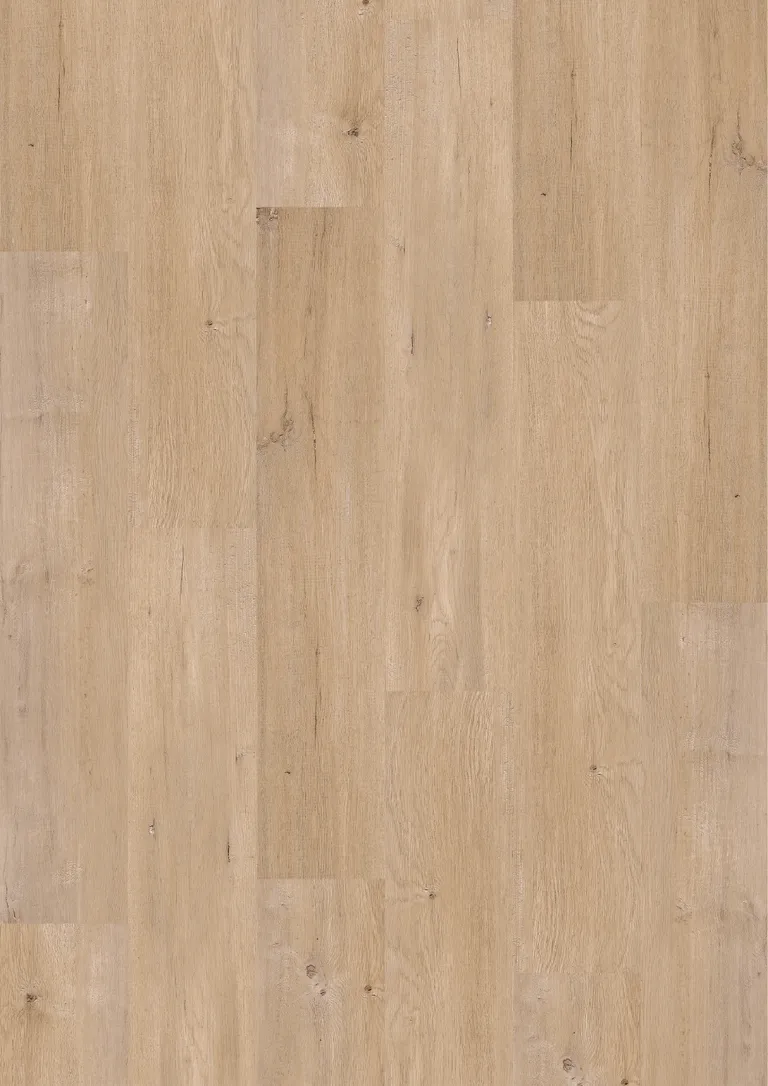 ZIRO Klebe-Vinylboden Vinyl Basic KF Birke Ravenna Landhausdiele 1