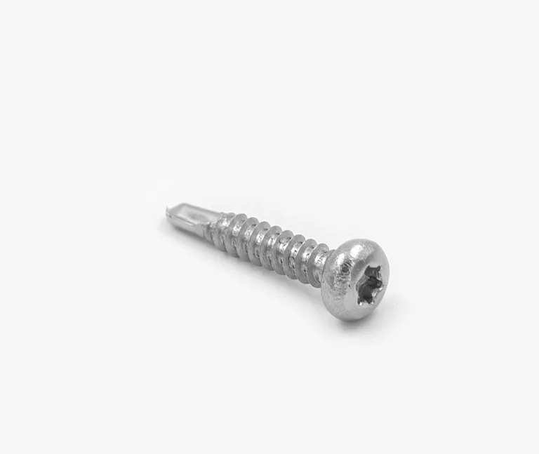 HORI RE Spezialschrauben für Clip-Terrassenlager 4,2x22mm 100 Stück 0