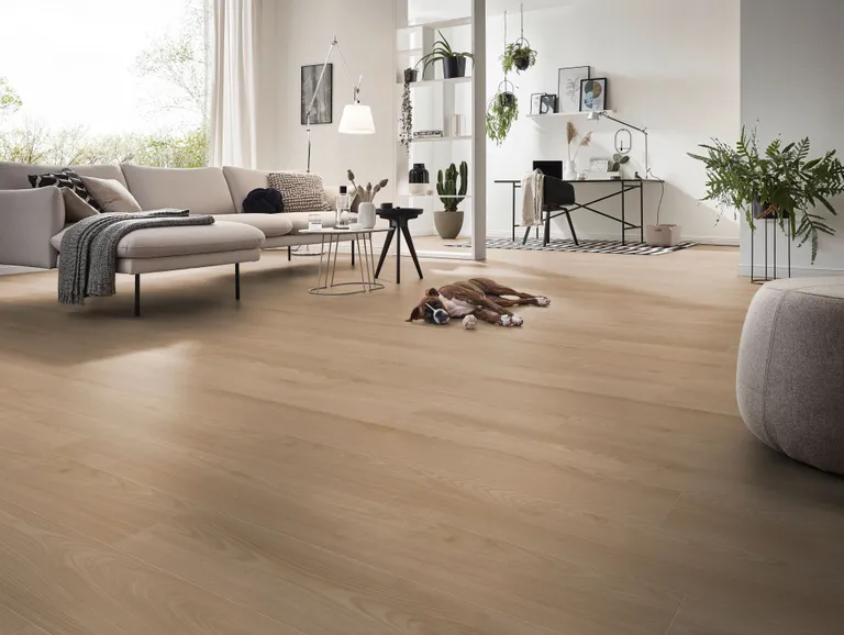 KRONOTEX Laminat Robusto D 80892 Salisbury Kastanie Dunkel Landhausdiele 3