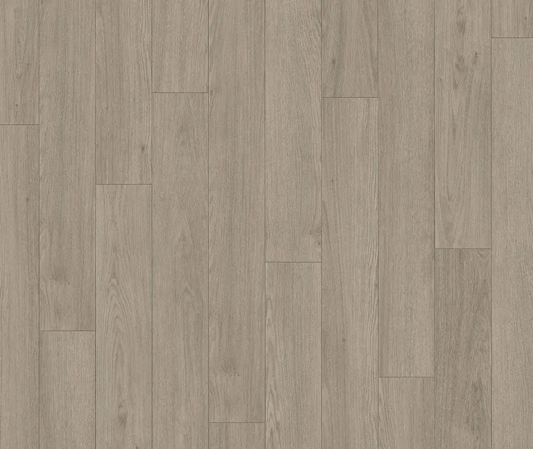 PARADOR Laminat Trendtime1 Eiche Mont Blanc grau Matte Holzstruktur Landhausdiele 1